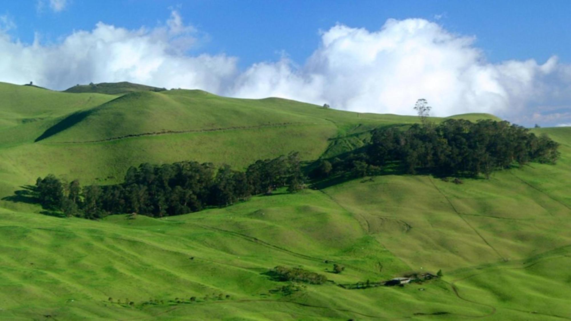Вилла Paki Maui 424 Кахана Экстерьер фото